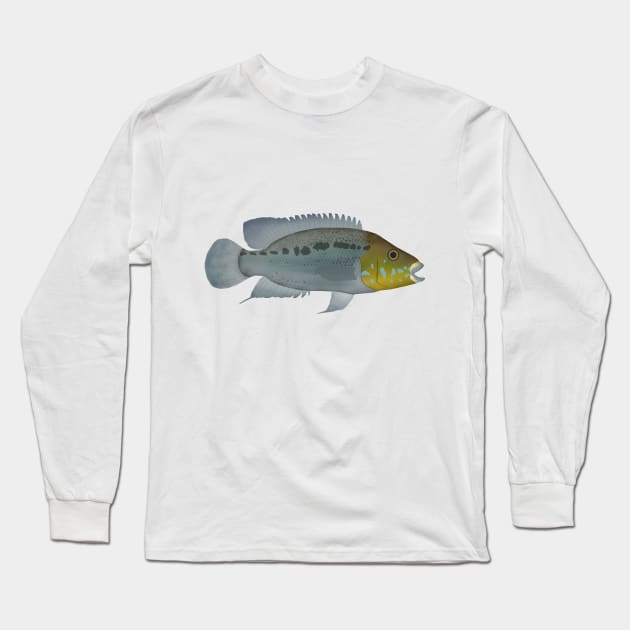 Turquoise Cichlid Long Sleeve T-Shirt by FishFolkArt